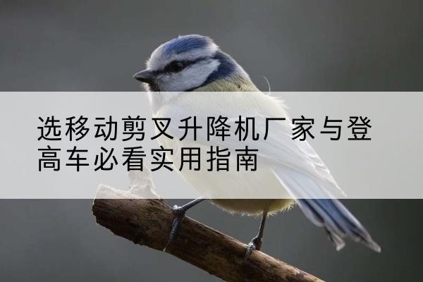 磐石电动升降机厂家-选移动剪叉升降机厂家与登高车必看实用指南