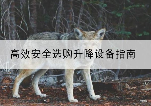磐石升降货梯厂家推荐-*安全选购升降设备指南