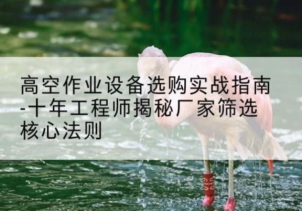 磐石剪叉式升降机厂家-高空作业设备选购实战指南-十年工程师揭秘厂家筛选核心法则