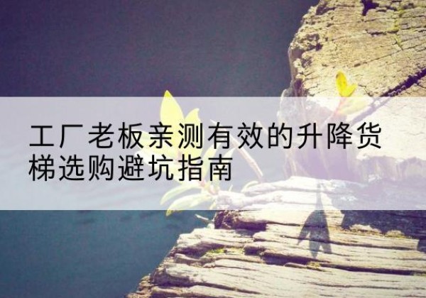 磐石升降货梯怎么选-工厂老板亲测有效的升降货梯选购避坑指南